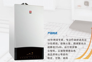 燃气壁挂炉